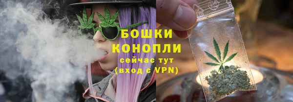 гашик Новозыбков